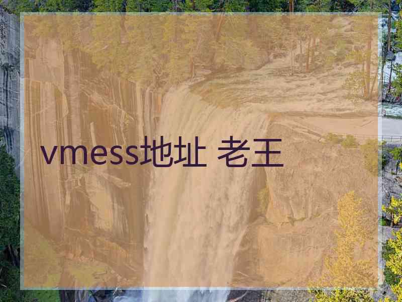 vmess地址 老王