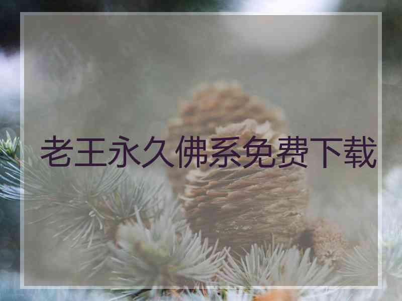 老王永久佛系免费下载