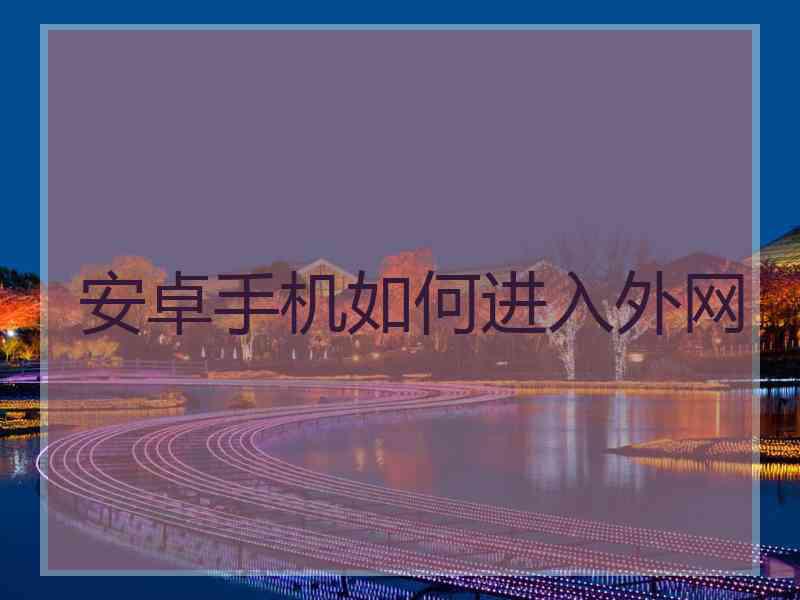 安卓手机如何进入外网