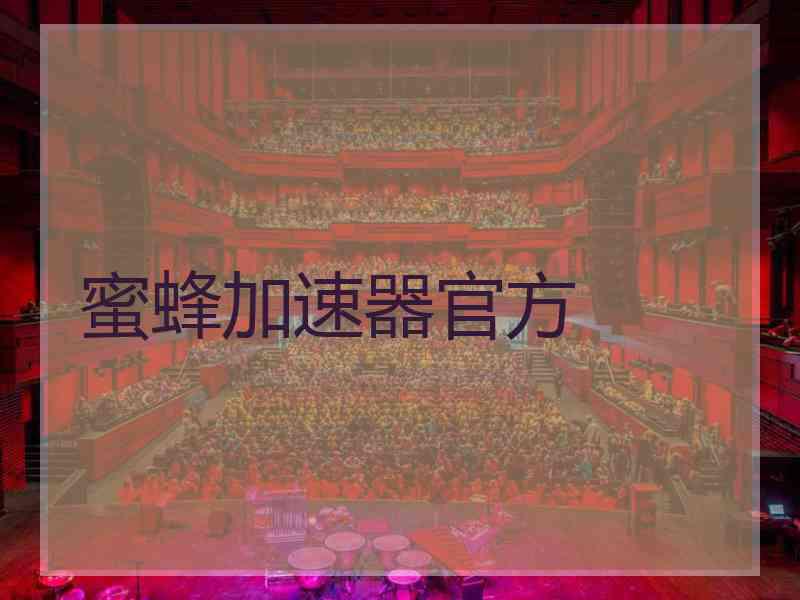 蜜蜂加速器官方