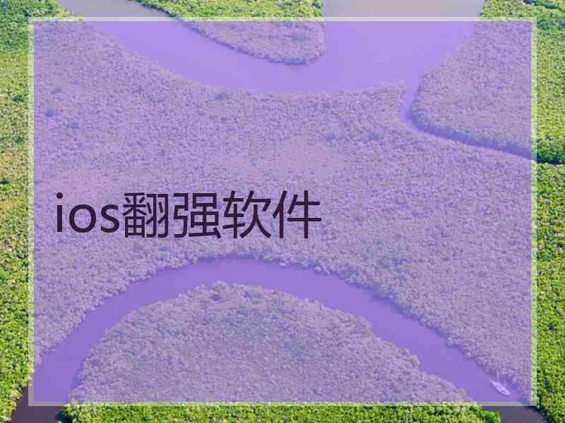 ios翻强软件