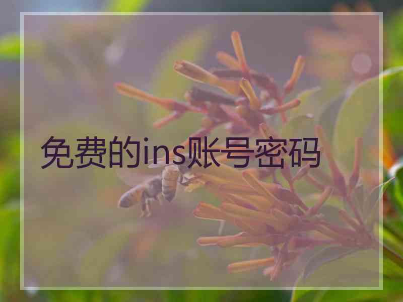 免费的ins账号密码