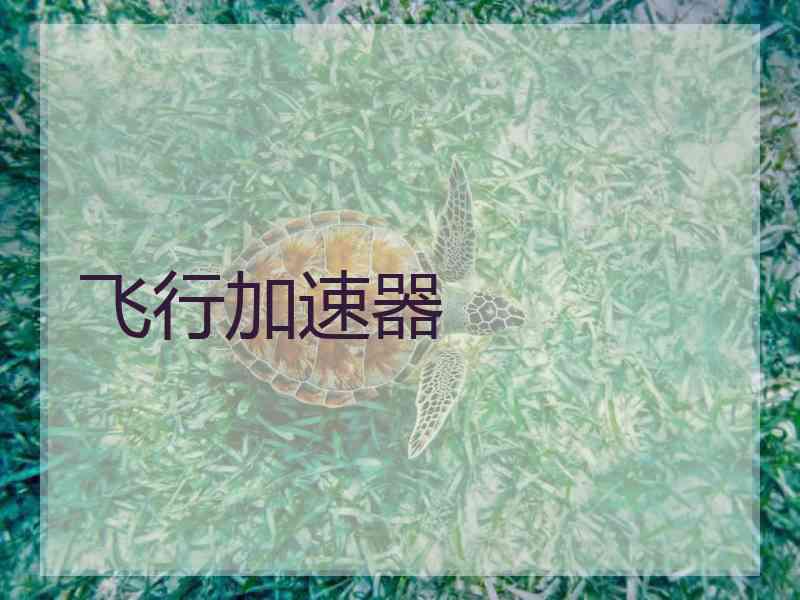 飞行加速器