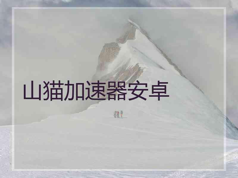 山猫加速器安卓