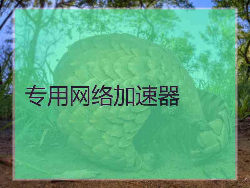 专用网络加速器