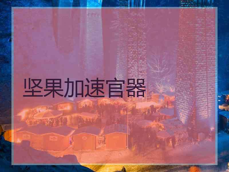 坚果加速官器