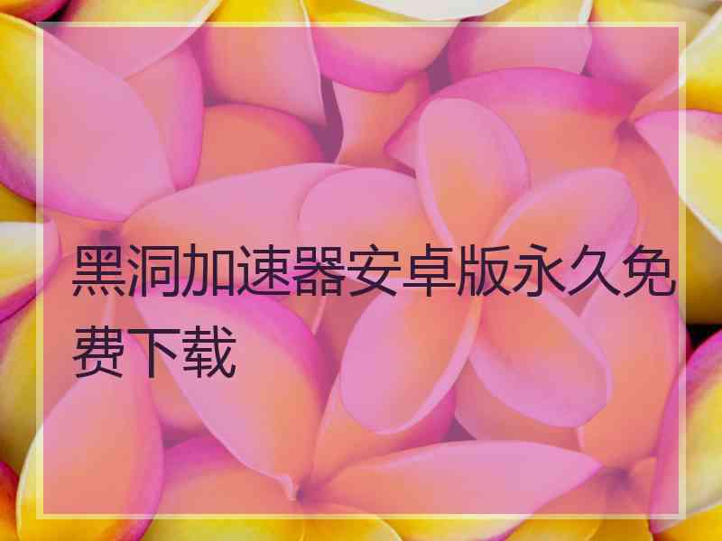 黑洞加速器安卓版永久免费下载