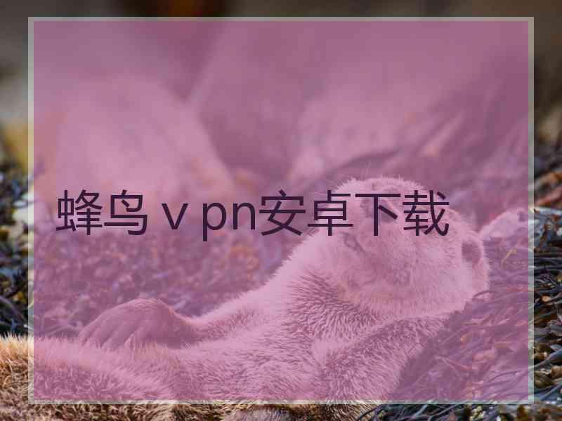 蜂鸟ⅴpn安卓下载