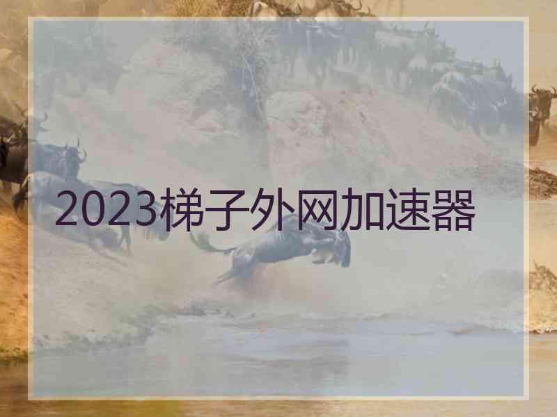2023梯子外网加速器