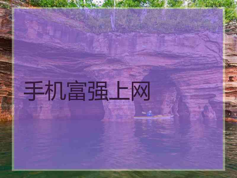 手机富强上网
