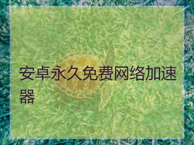 安卓永久免费网络加速器