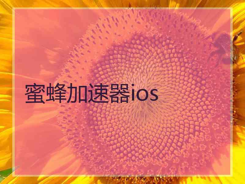 蜜蜂加速器ios