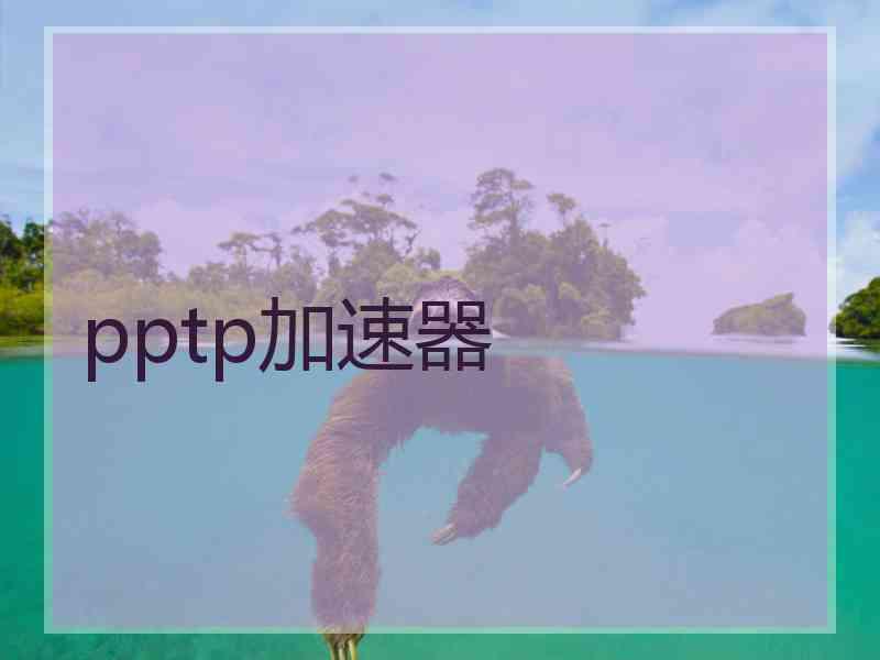 pptp加速器