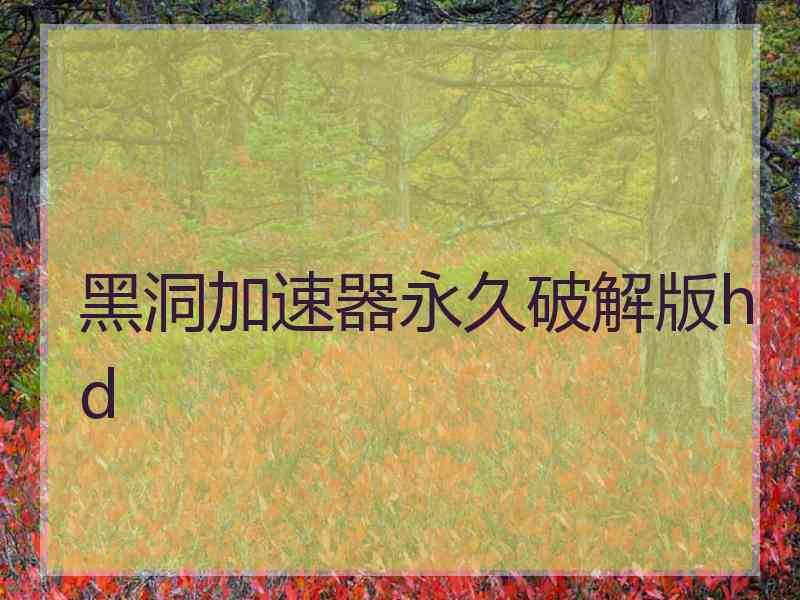 黑洞加速器永久破解版hd