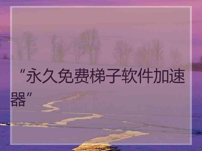“永久免费梯子软件加速器”