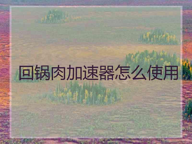 回锅肉加速器怎么使用