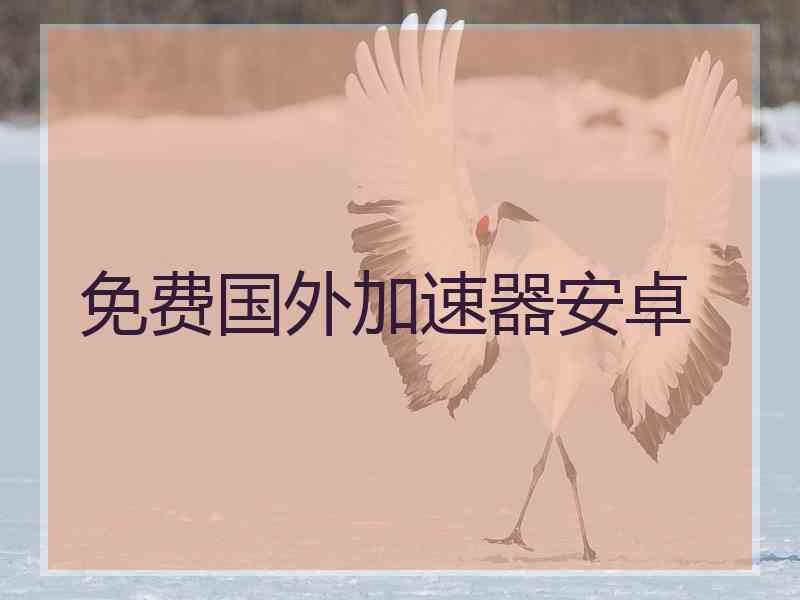免费国外加速器安卓