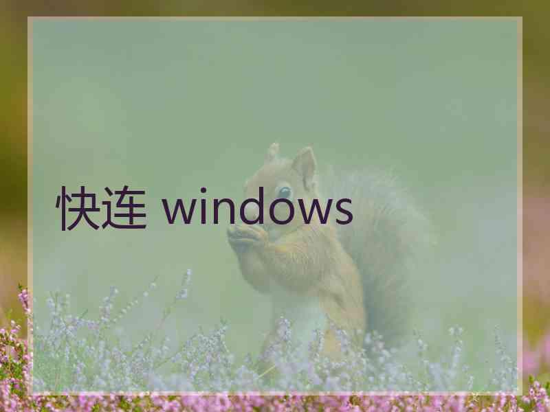 快连 windows
