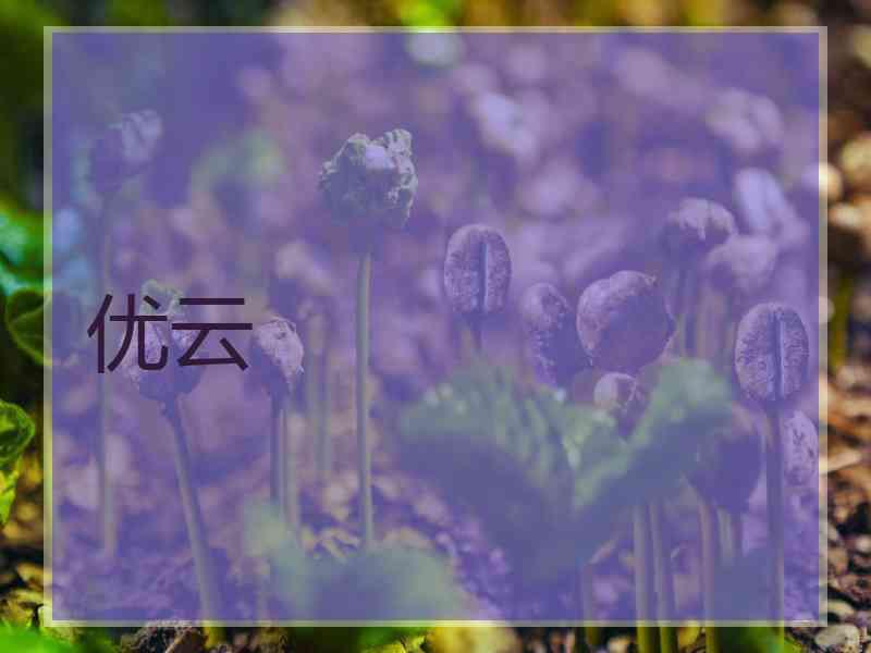 优云