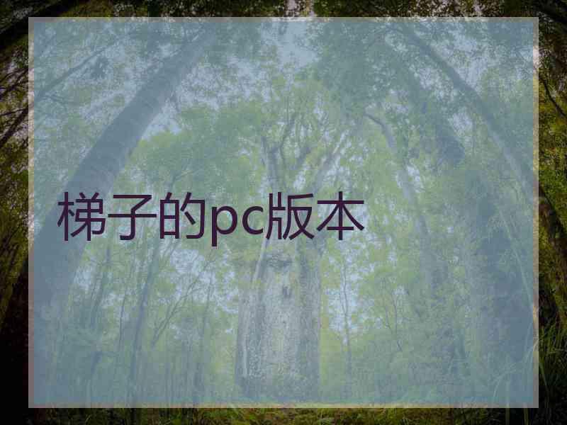 梯子的pc版本
