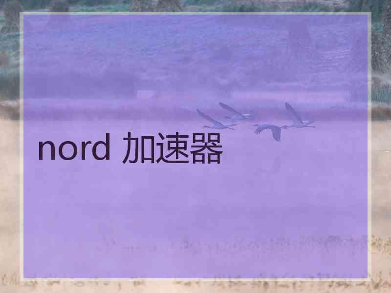 nord 加速器