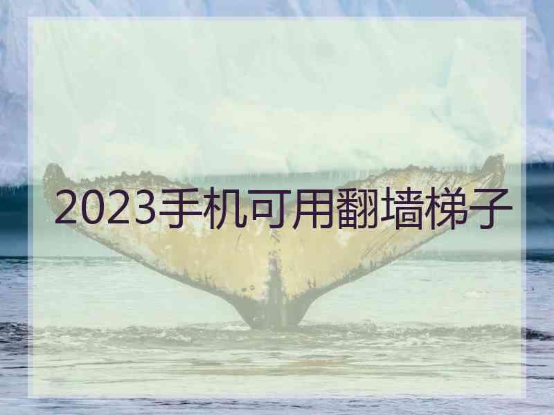 2023手机可用翻墙梯子