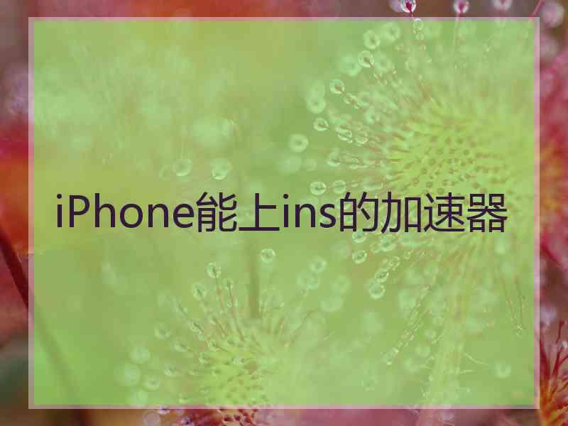 iPhone能上ins的加速器