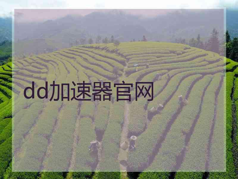 dd加速器官网
