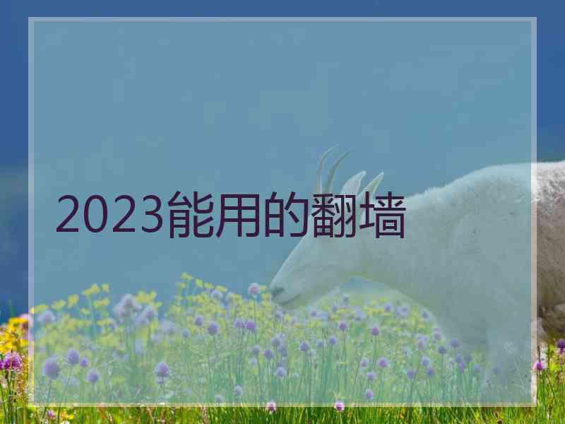 2023能用的翻墙