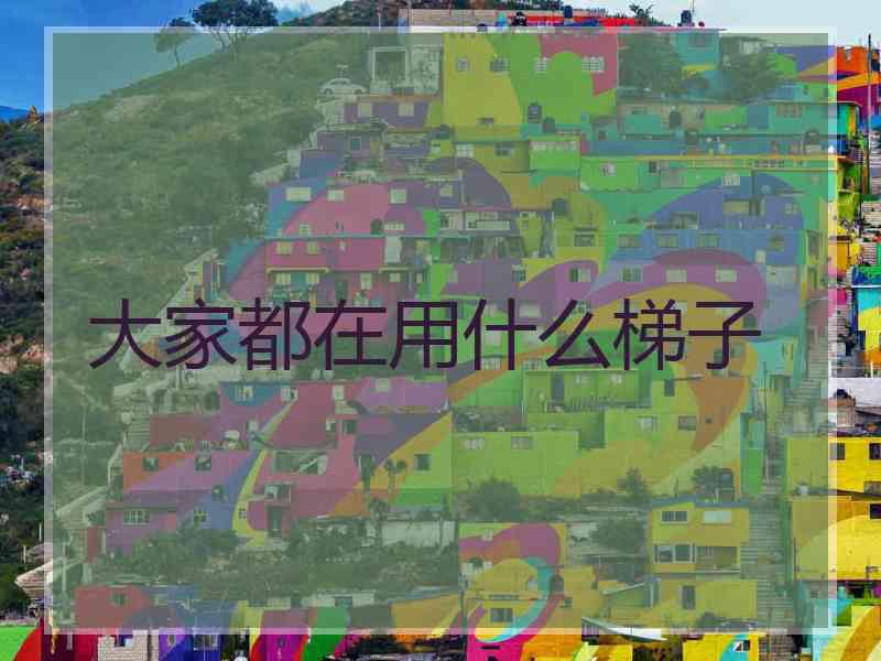 大家都在用什么梯子