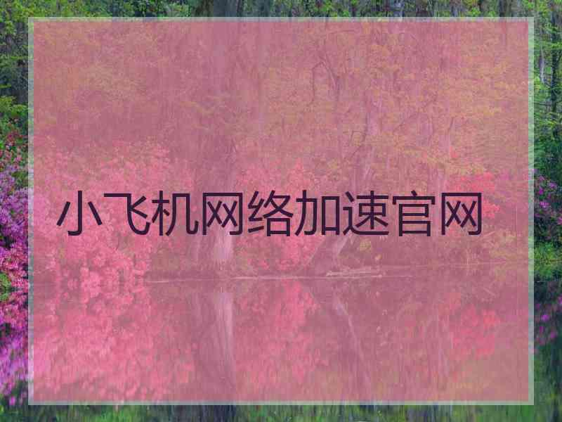 小飞机网络加速官网