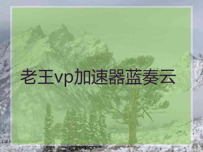 老王vp加速器蓝奏云