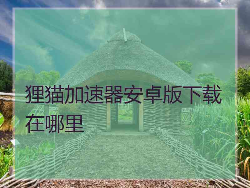 狸猫加速器安卓版下载在哪里