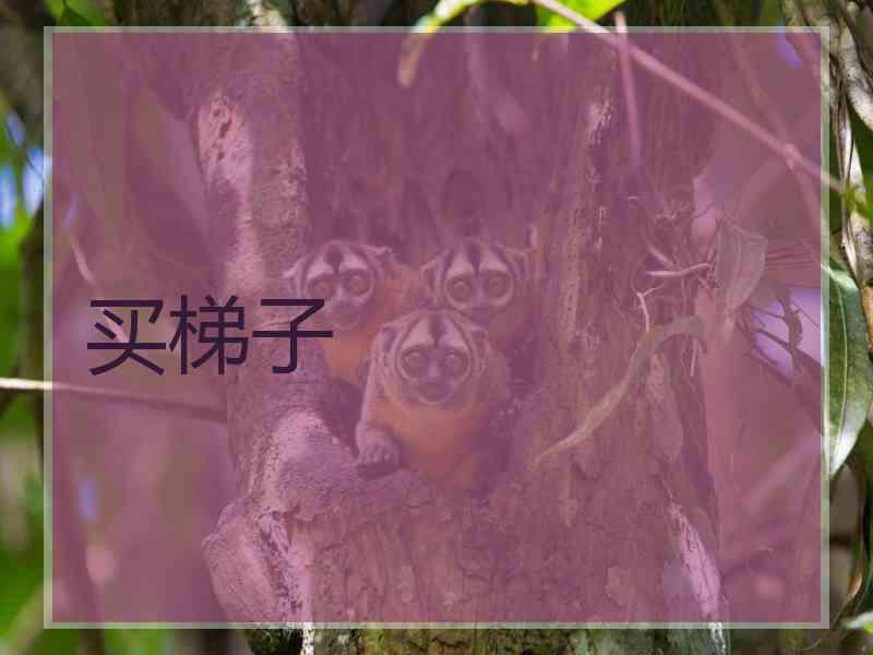 买梯子