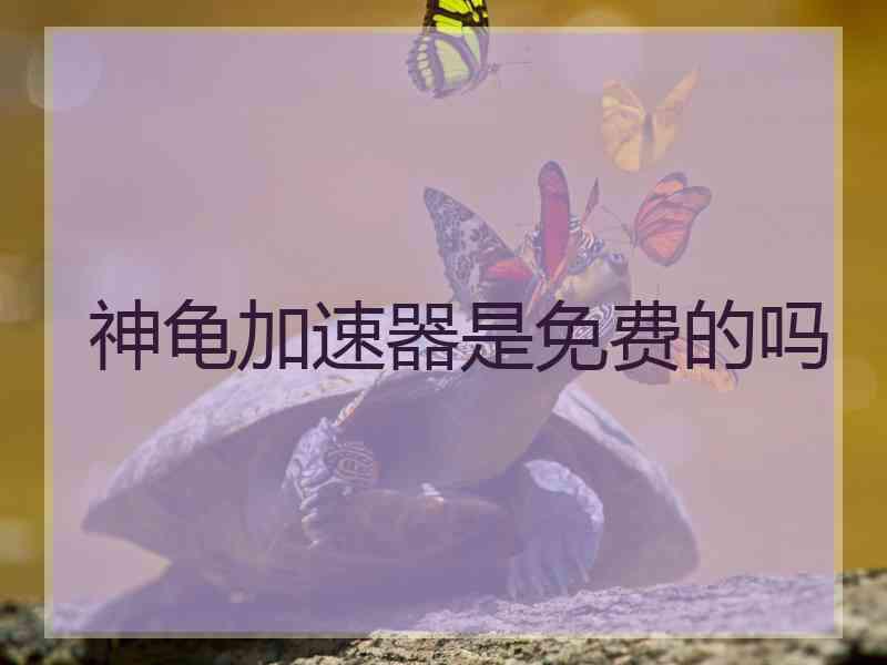 神龟加速器是免费的吗