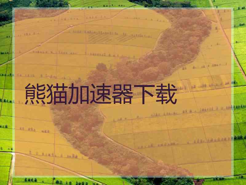 熊猫加速器下载