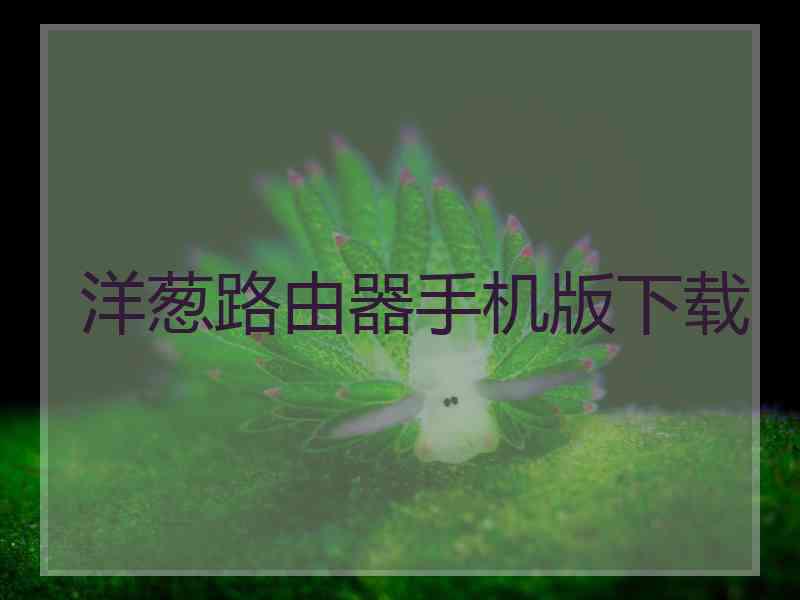 洋葱路由器手机版下载