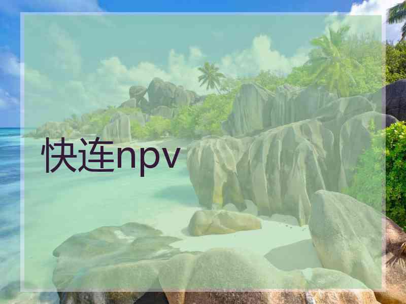 快连npv