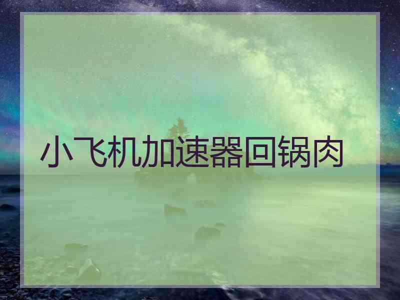 小飞机加速器回锅肉