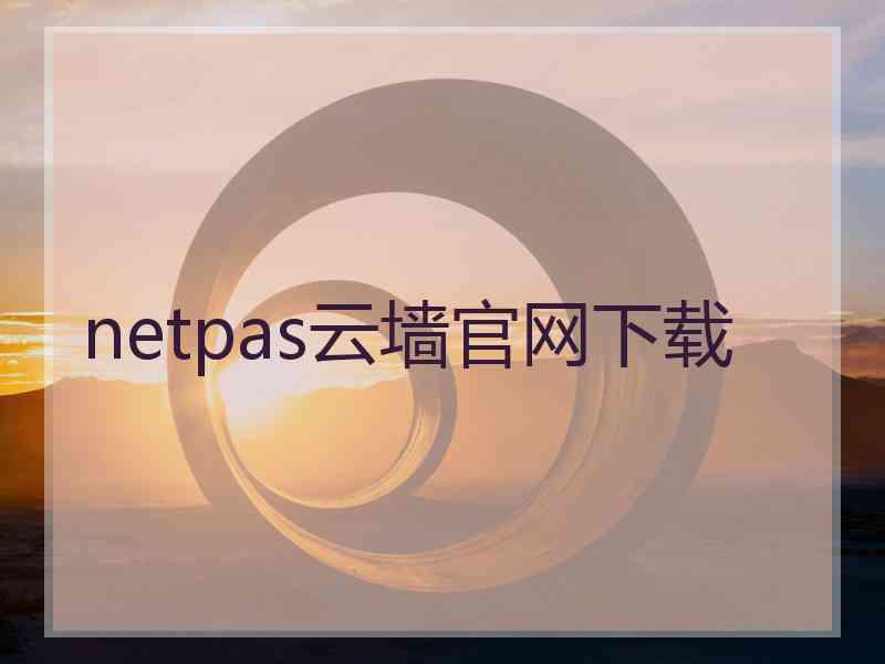 netpas云墙官网下载