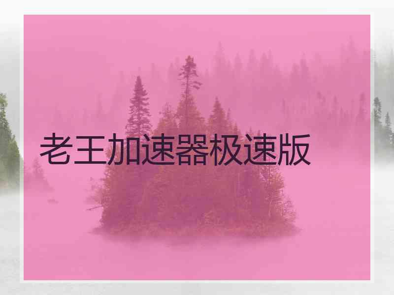 老王加速器极速版