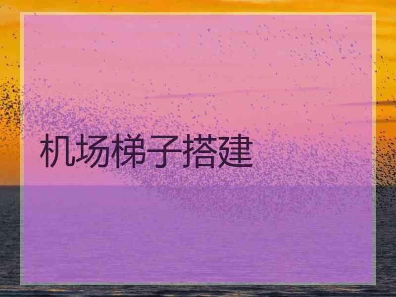 机场梯子搭建