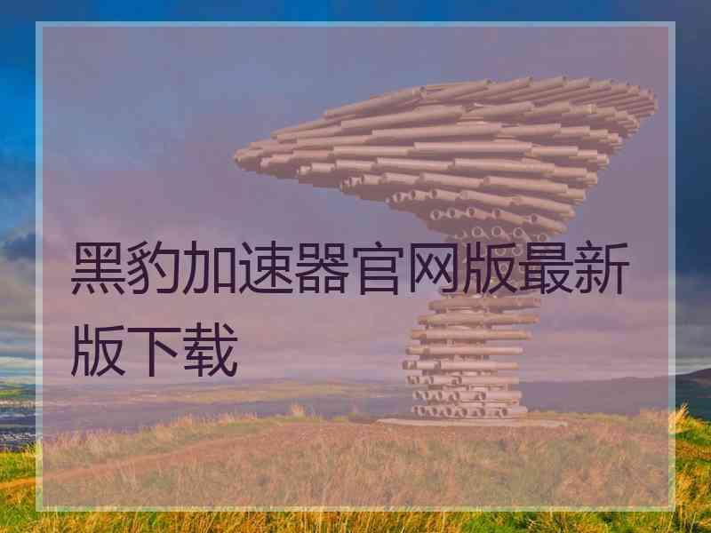 黑豹加速器官网版最新版下载