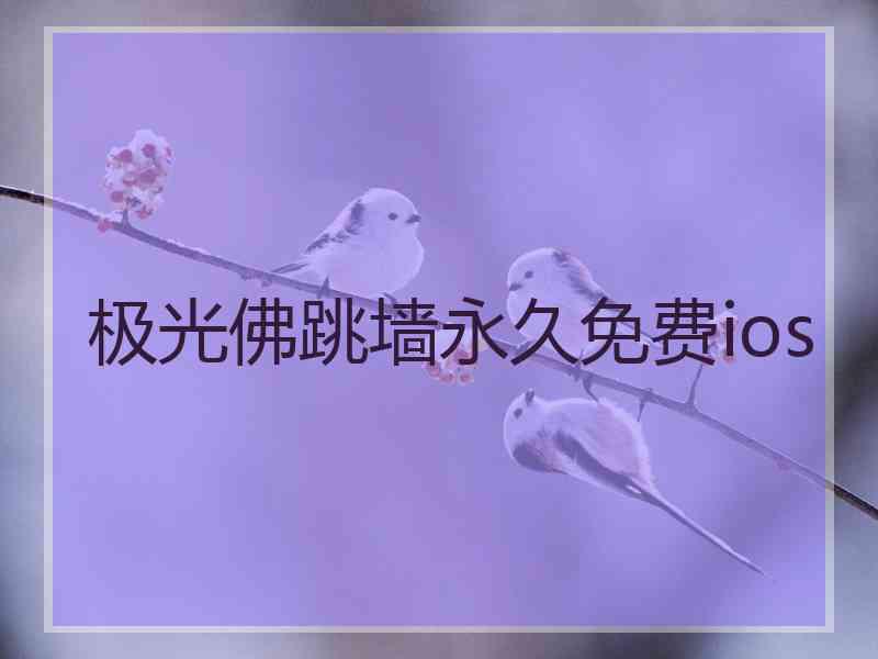 极光佛跳墙永久免费ios