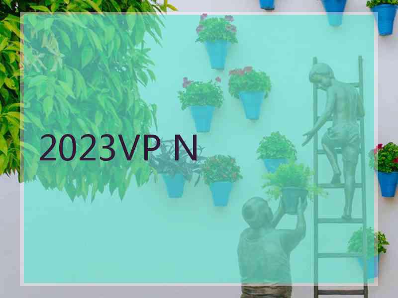 2023VP N