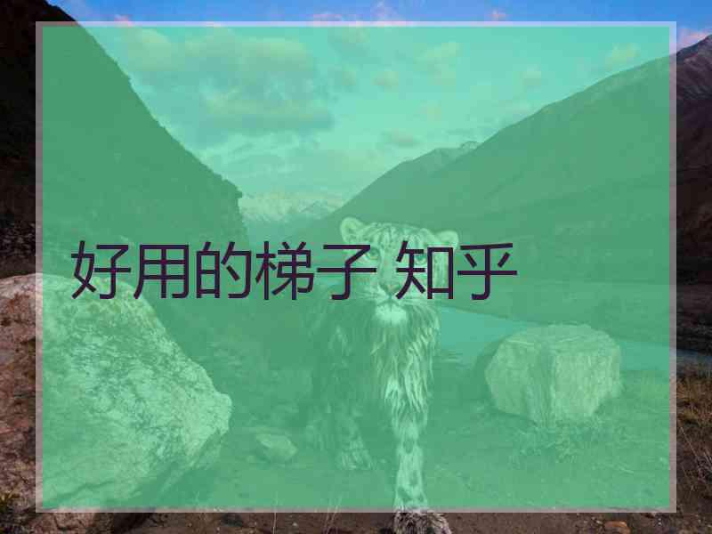 好用的梯子 知乎