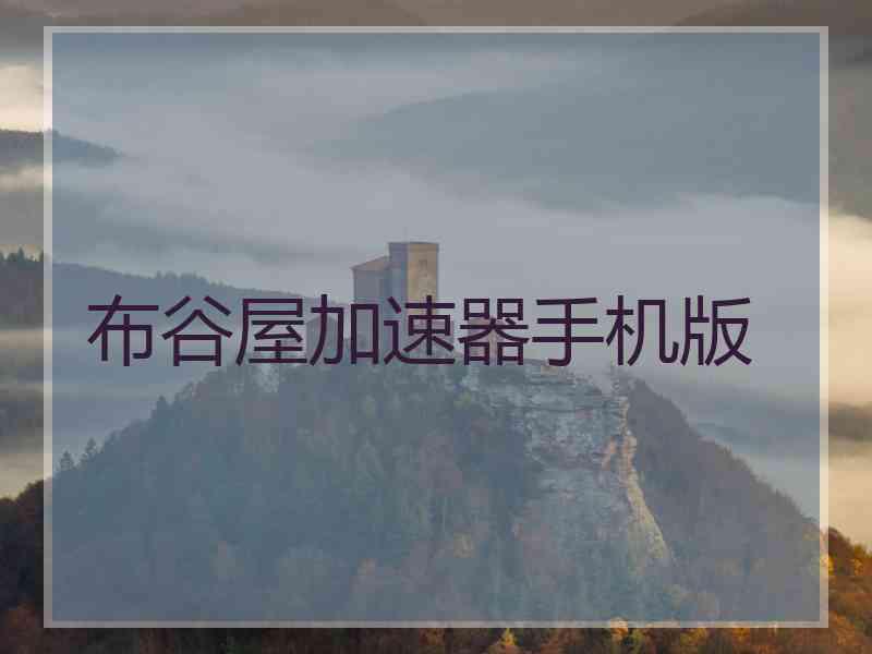 布谷屋加速器手机版