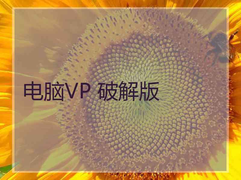 电脑VP 破解版