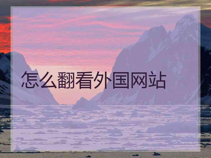 怎么翻看外国网站