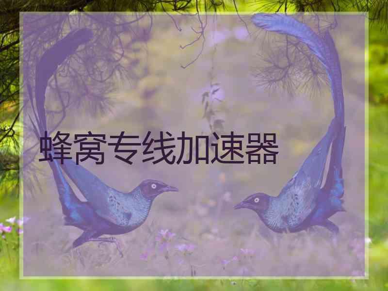 蜂窝专线加速器